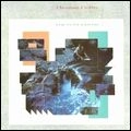 THOMAS DOLBY / トーマス・ドルビー / FLAT EARTH