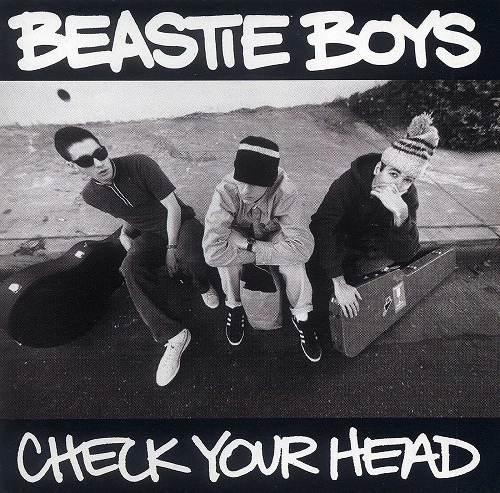 BEASTIE BOYS / ビースティ・ボーイズ / CHECK YOUR HEAD (2LP/180G)