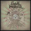 ENTER SHIKARI / エンター・シカリ / TAKE TO THE SKIES