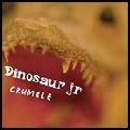 DINOSAUR JR. / ダイナソー・ジュニア / CRUMBLE