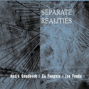 ANDRE GOUDBEEK / SEPERATE REALITIES