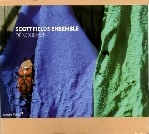 SCOTT FIELDS / スコット・フィールズ / DENOUEMENT