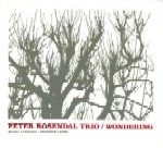 PETER ROSENDAL / ピーター・ローゼンダール / WONDERING