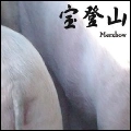 MERZBOW / メルツバウ / HODOSAN