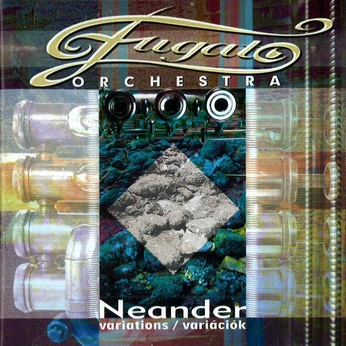 FUGATO ORCHESTRA / フガート・オーケストラ / NEANDER VARIATIONS