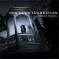 NEW DAWN FOUNDATION / MOMENT OF CLARITY