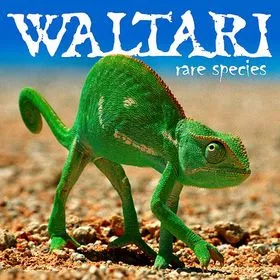 WALTARI / ワルタリ / RARE SPECIES