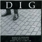 SVEIN OLAV HERSTAD / DIG