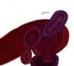 ARVE HENRIKSEN / アルヴェ・ヘンリクセン / STRJON