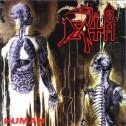 DEATH / デス / HUMAN
