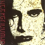AVIV GEFFEN / アヴィヴ・ゲフェン / IT'S ONLY THE MOONLIGHT