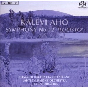 JOHN STORGARDS / ヨン・ストゥルゴーズ / AHO:SYMPHONY NO.12