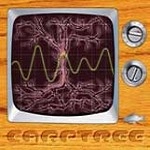 CARPTREE / カープトゥリー / CARPTREE