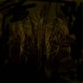 THYRFING / ザイアフィング / FARSOTSTIDER