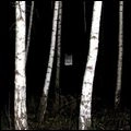AUDIONOM / オーディオノム / SUPERIOR