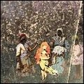 PAAVOHARJU / パーヴォハージュ / LAULU LAAKSON KUKISTA