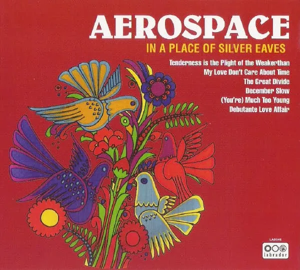 AEROSPACE / IN A PLACE OF SILVER EAVES