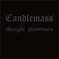 CANDLEMASS / キャンドルマス / DACTYLIS GLOMERATA