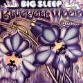 BIG SLEEP / ビッグ・スリープ / BLUEBELL WOOD