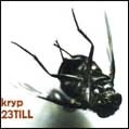 23TILL / KRYP