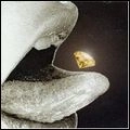 V.A./ Rock (UK&EU) / RISKY DAZZLE - A SERVICE PARTY SHUFFLE