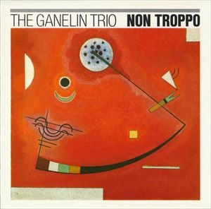 GANELIN TRIO / ガネリン・トリオ / NON TROPPO