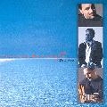 TORCUATO MARIANO / トルクアート・マリアーノ / DIARIO