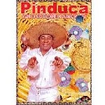 PINDUCA / ピンドゥーカ / 40 ANOS DE SUCESSO DO REI DO CARIMBO DO BR