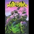 TOXIC HOLOCAUST / トキシック・ホロコースト / BRAZILIAN SLAUGHTER 2006