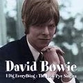 DAVID BOWIE / デヴィッド・ボウイ / I DIG EVERYTHING:THE 1966 PYE SINGLES