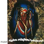 I NUMI / ALPHA RALPHA BOULEVARD