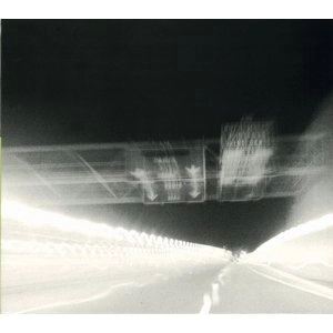 FRANCESCO BEARZATTI / フランチェスコ・ベアザッティ / Virus