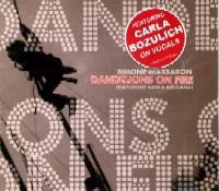 SIMONE MASSARON / DANDELIONS ON FIRE