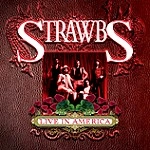 STRAWBS / ストローブス / LIVE IN AMERICA