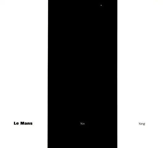 LE MANS / YIN YANG
