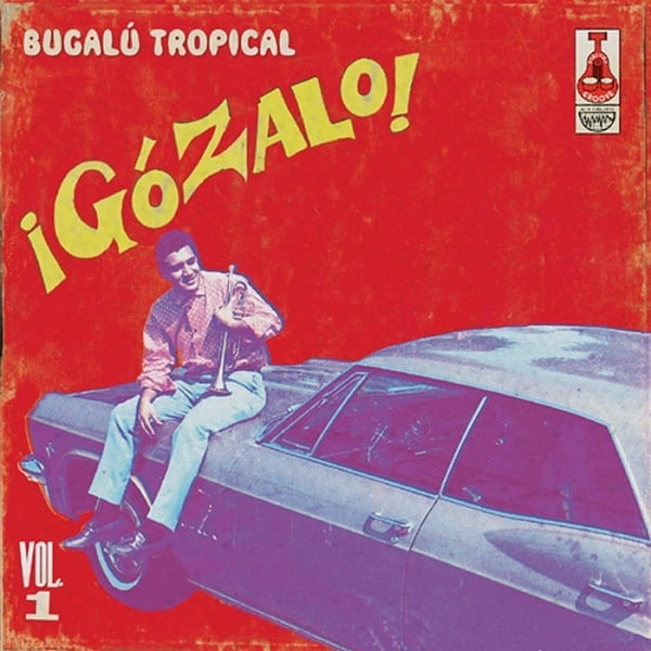 V.A. (GOZALO) / GOZALO