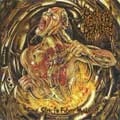 MENTAL DEMISE / FINAL STEP TO FUTURE MADNESS
