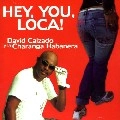 DAVID CALZADO Y SU CHARANGA HABANERA / ダビー・カルサード・イ・ス・チャランガ・アバネーラ / HEY YOU LOCA!