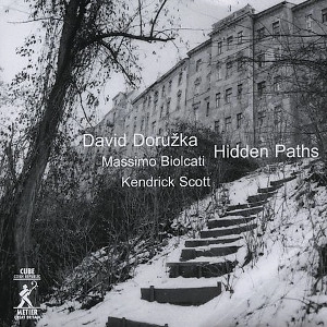 DAVID DORUZKA / ダヴィド・ドルージュカ / HIDDEN PATHS