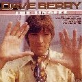 DAVE BERRY / デイヴ・ベリー / SINGLES