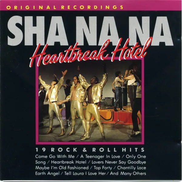 SHA NA NA / シャ・ナ・ナ / 19 ROCK & ROLL HITS