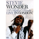 STEVIE WONDER / スティーヴィー・ワンダー / LIVE IN LONDON