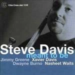 STEVE DAVIS / スティーヴ・デイヴィス / MEANT TO BE
