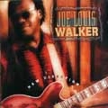 JOE LOUIS WALKER / ジョー・ルイス・ウォーカー / NEW DIRECTION