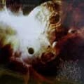 GORY BLISTER / SKYMORPHOSIS