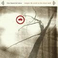 THIS BEAUTIFUL MESS / ディスビューティフルメス / TEMPER THE WIND TO THE SHORN LAMB