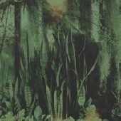 PROMISE RING / プロミス・リング / WOOD/WATER