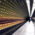 CONVEXTION / CONVEXTION