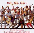 DAVID CALZADO Y SU CHARANGA HABANERA / ダビー・カルサード・イ・ス・チャランガ・アバネーラ / HEY YOU LOCA