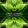 RAUL DE SOUZA (RAULZINHO) / ハウル・ヂ・ソウザ / SOUL & CREATION